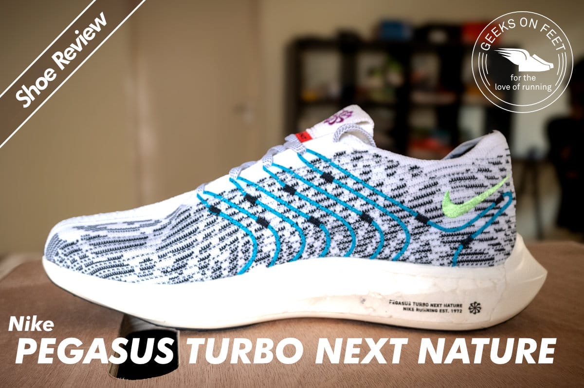 Nike Pegasus Turbo Next Nature